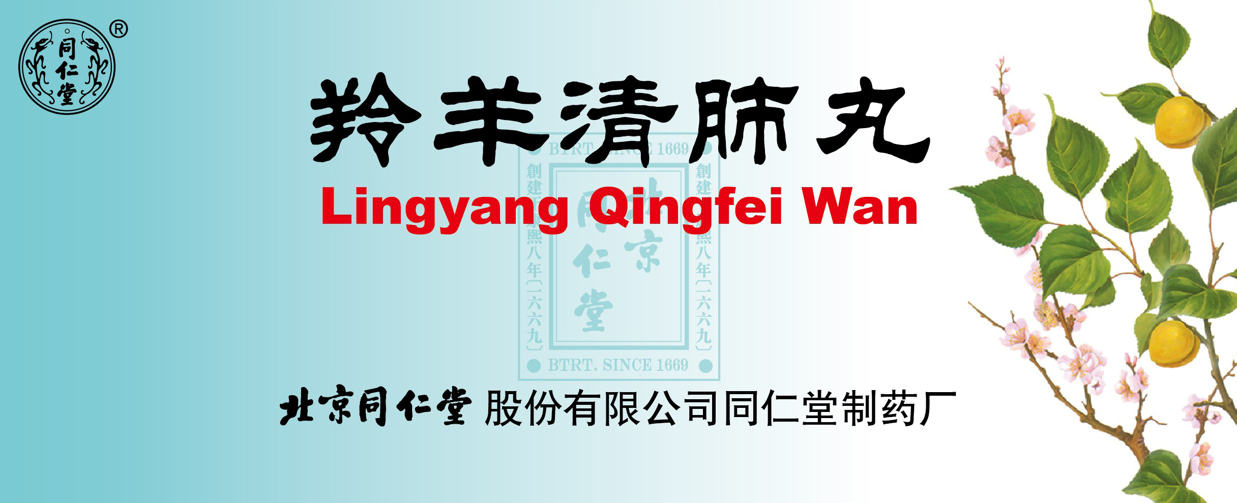 羚羊清肺丸
