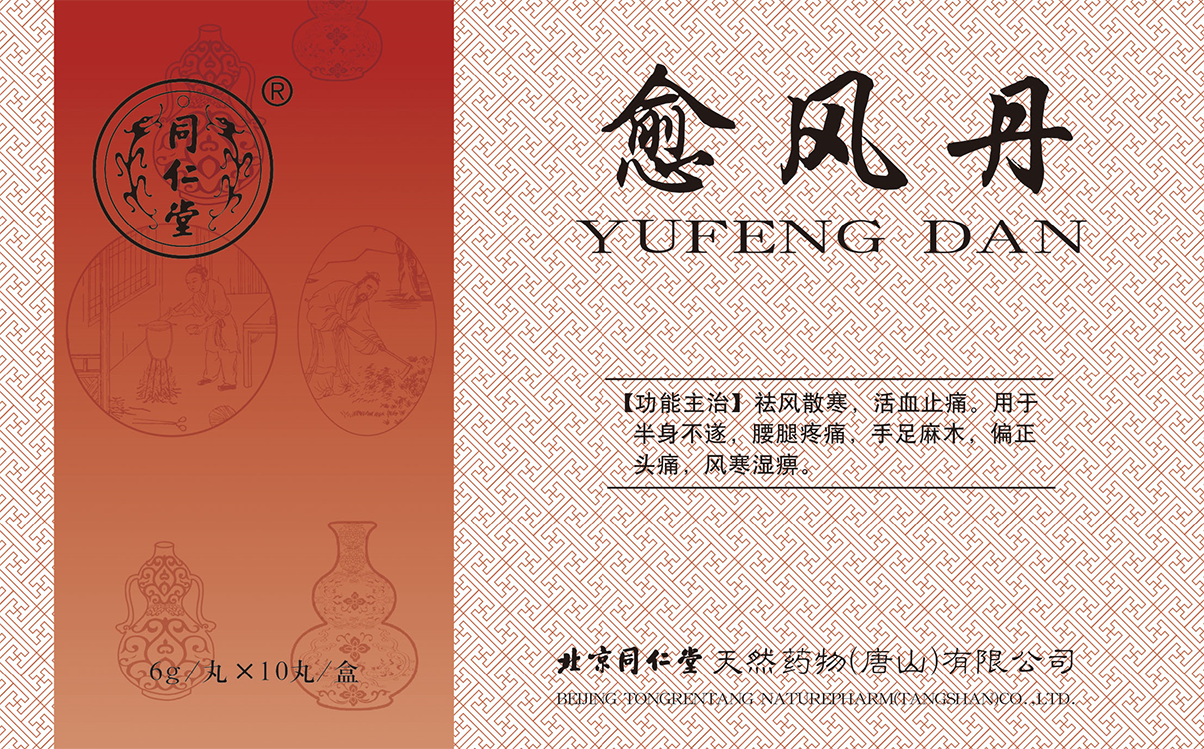 愈风丹