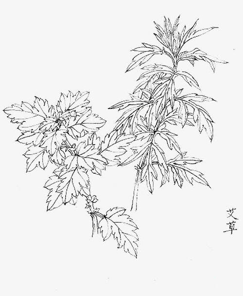 long8-唯一官方网站